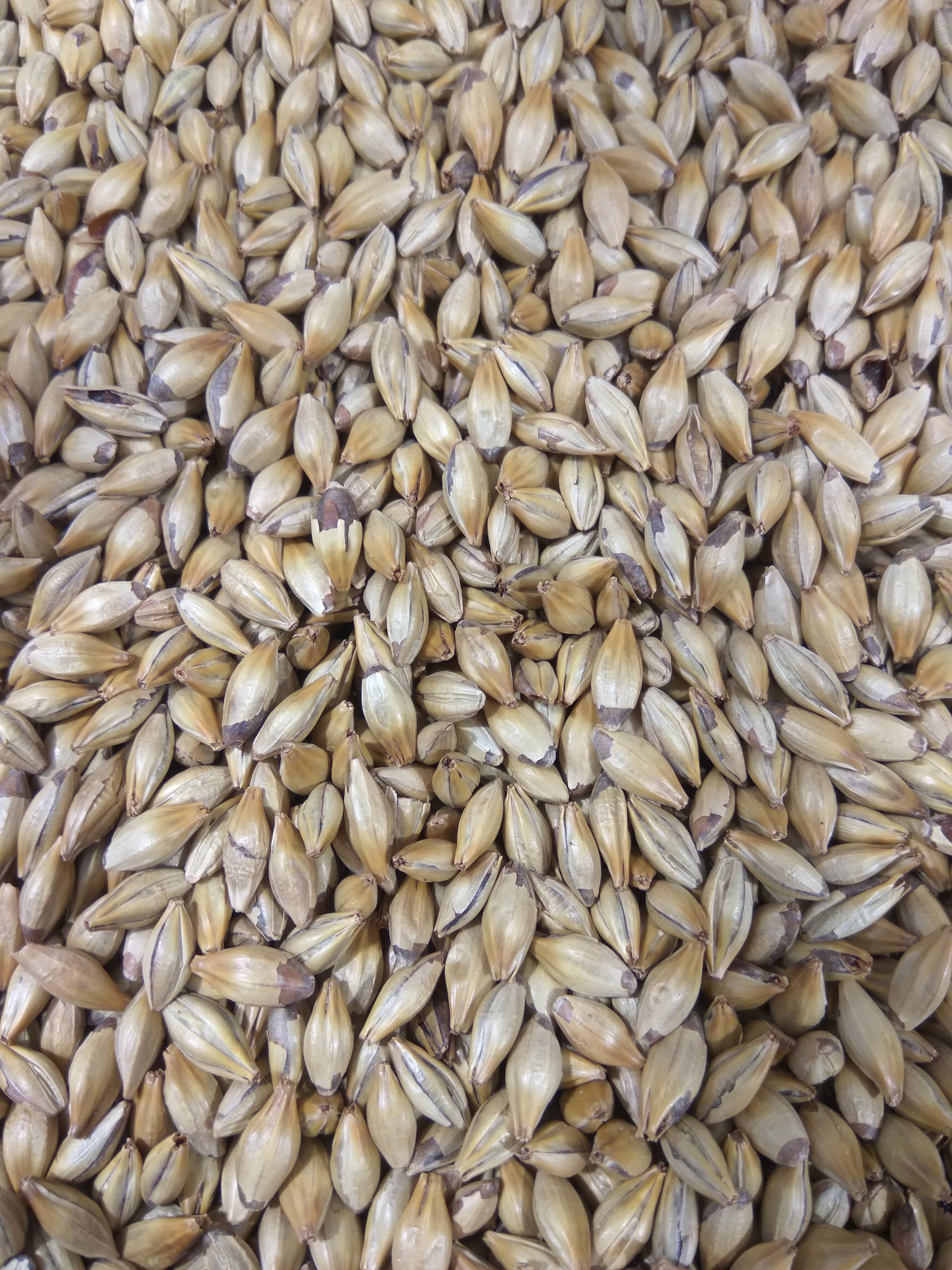 Gladfield Light Crystal malt