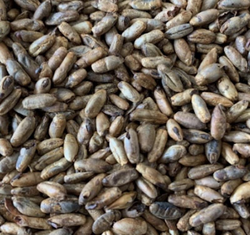 Gladfield Black Forest Rye